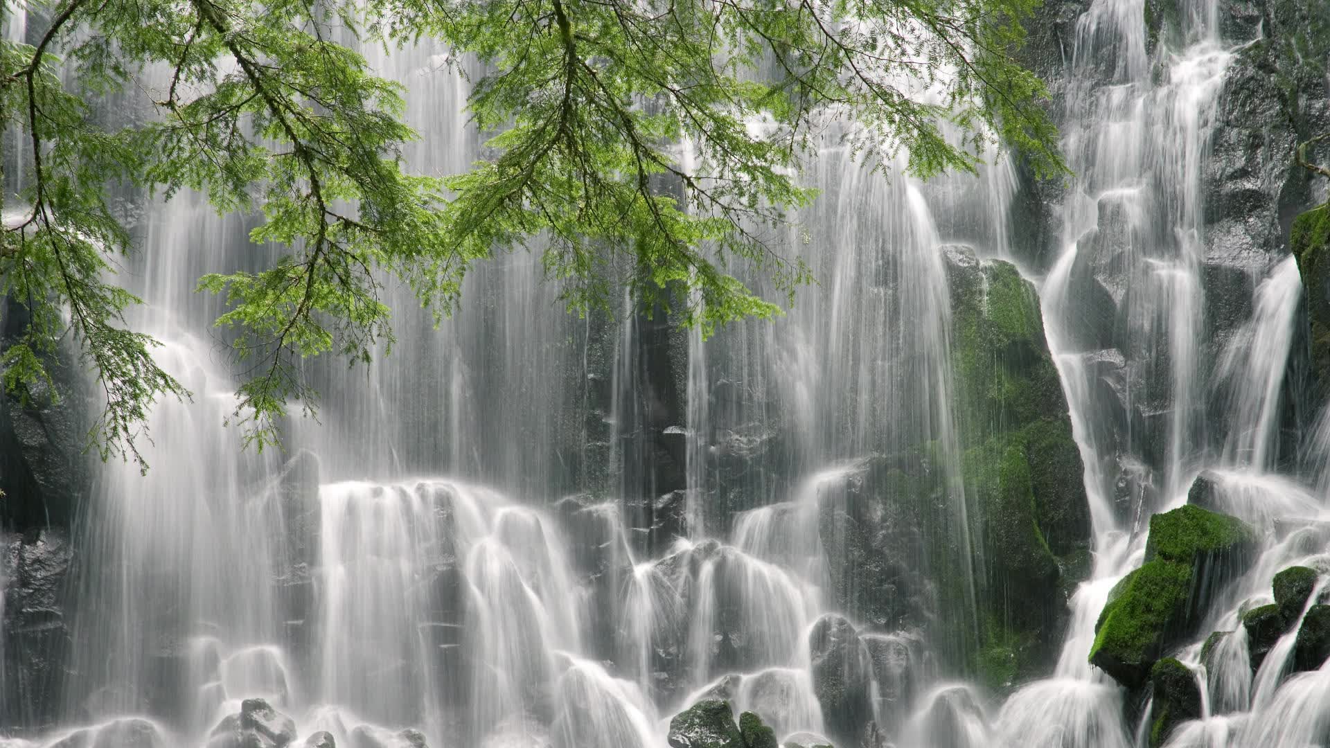 世界登山青年导师生态修复样板营评估报告出炉,世界登山协会